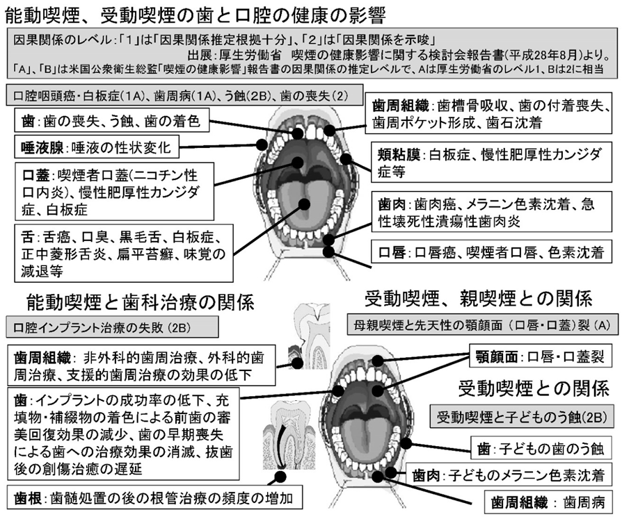 図：喫煙・受動喫煙と口腔の健康および歯科治療への影響