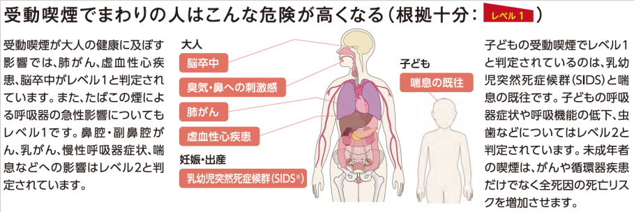 図：受動喫煙と健康との関係（国立がん研究センターがん情報サービス「がん登録・統計」『喫煙と健康 厚生労働省喫煙の健康影響に関する検討会報告書（平成28年8月）の概要を知りたい人のために』）